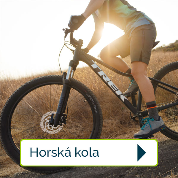 Flystork-hoská_kola